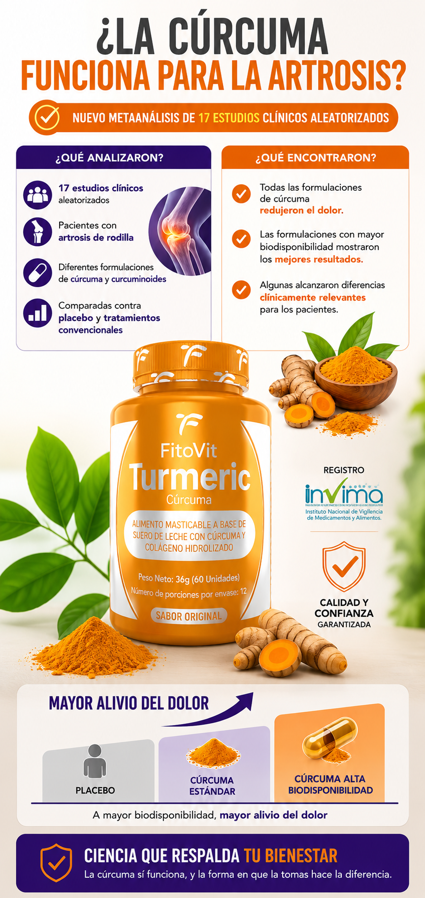 CURCUMA SALUD ARTICULAR FARMACEUTICO - INVIMA
